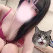 ヒメ日記 2026/08/09 11:40 投稿 こころ 熟女の風俗最終章 蒲田店