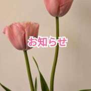 ヒメ日記 2026/04/28 01:08 投稿 ゆうみ 丸妻 横浜本店