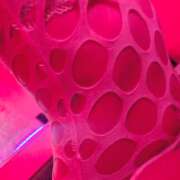 ヒメ日記 2026/06/22 20:27 投稿 さき VIVID CREW Pink Party Paradise