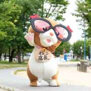 ヒメ日記 2026/08/15 09:13 投稿 さき VIVID CREW Pink Party Paradise