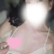 ヒメ日記 2026/02/19 17:06 投稿 なお 熟女総本店 日本橋ミナミエリア店