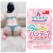 ヒメ日記 2026/03/06 11:06 投稿 なお 熟女総本店 日本橋ミナミエリア店