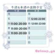 ヒメ日記 2025/12/19 19:28 投稿 あさひ 福岡ちゃんこ大牟田店