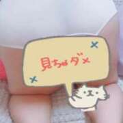 ヒメ日記 2025/12/24 00:58 投稿 かや 静岡駅前ちゃんこ