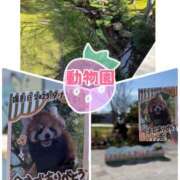 ヒメ日記 2026/03/08 15:23 投稿 宝田ぱお パレット(熊本)