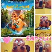 ヒメ日記 2026/03/19 16:33 投稿 宝田ぱお パレット(熊本)