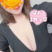 ヒメ日記 2026/08/03 07:33 投稿 宝田ぱお パレット(熊本)