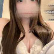 ましろ 21日から チューリップ福井本館