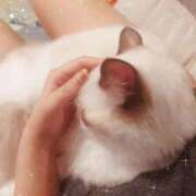 ヒメ日記 2026/01/20 22:10 投稿 ゆうき あとりえ(ATELIER)