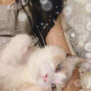 ヒメ日記 2026/01/21 23:17 投稿 ゆうき あとりえ(ATELIER)