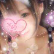 ヒメ日記 2026/01/25 18:12 投稿 ゆうき あとりえ(ATELIER)