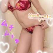 ヒメ日記 2026/02/12 12:39 投稿 ゆうき あとりえ(ATELIER)