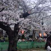 ヒメ日記 2026/04/07 15:39 投稿 青山 熟女デリヘル倶楽部