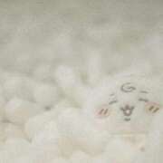 ヒメ日記 2026/01/17 07:28 投稿 『じゅん』 ESSENCE