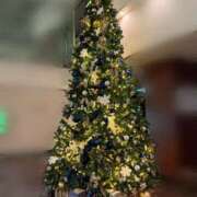 ヒメ日記 2025/12/25 04:15 投稿 かや SEXIS-セクシーズ-