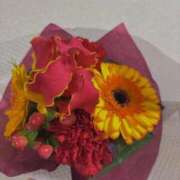 ヒメ日記 2026/02/15 22:12 投稿 れいか ファーストレディ(博多)