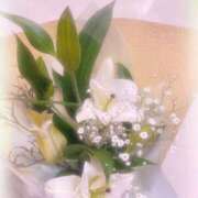 ヒメ日記 2026/03/17 22:52 投稿 れいか ファーストレディ(博多)