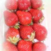 ヒメ日記 2026/04/07 21:32 投稿 れいか ファーストレディ(博多)