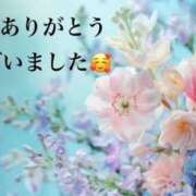 ヒメ日記 2026/05/09 15:19 投稿 ねいろ SUZUME