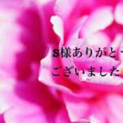 ヒメ日記 2026/06/23 09:49 投稿 ねいろ SUZUME