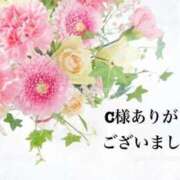 ヒメ日記 2026/09/15 11:19 投稿 ねいろ SUZUME