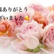 ヒメ日記 2026/09/17 13:29 投稿 ねいろ SUZUME