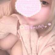 ヒメ日記 2026/04/19 14:02 投稿 いちご♡可愛い系美白少女♡ 富山高岡ちゃんこ