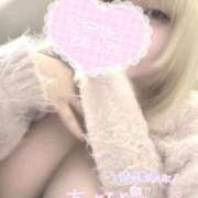 ヒメ日記 2026/05/11 14:12 投稿 いちご♡可愛い系美白少女♡ 富山高岡ちゃんこ