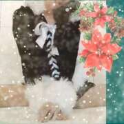 きさき メリークリスマス🎄 sakura