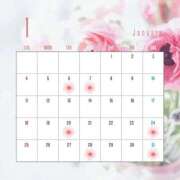 ヒメ日記 2026/01/08 10:52 投稿 きさき sakura