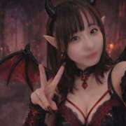 ヒメ日記 2026/01/30 22:15 投稿 さく アラカルト