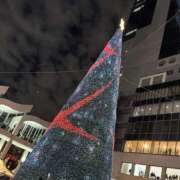 ヒメ日記 2025/12/23 12:44 投稿 あや かりんと池袋