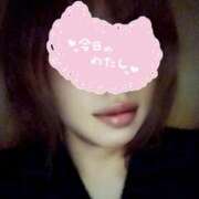 ヒメ日記 2026/02/14 23:32 投稿 月瀬　とわ ベルサイユの薔薇