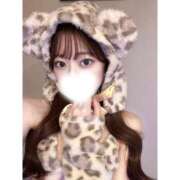 ことり 最終日❕ BLUE BIRD (ブルーバード) 上越