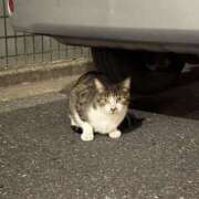 ヒメ日記 2026/01/01 19:31 投稿 ふみ 錦糸町人妻セレブリティ（ユメオト）