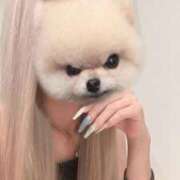 ヒメ日記 2026/03/13 15:44 投稿 夢月さり HYPER TOKYO