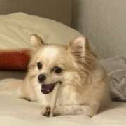 にいな ⭐️ VIVID CREW Pink Party Paradise