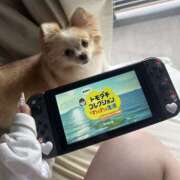 ヒメ日記 2026/04/20 17:46 投稿 にいな VIVID CREW Pink Party Paradise