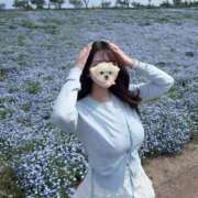 ヒメ日記 2026/04/29 15:08 投稿 にいな VIVID CREW Pink Party Paradise