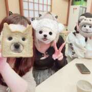 ヒメ日記 2026/05/04 14:33 投稿 にいな VIVID CREW Pink Party Paradise