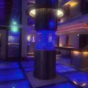 ヒメ日記 2026/03/10 12:03 投稿 高月　さほ YUDEN〜油殿〜谷九・日本橋店