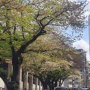 ヒメ日記 2026/04/13 13:12 投稿 五条まり40代 The Best＆More～最高のものとそれ以上のもの～