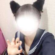 ヒメ日記 2026/02/27 19:14 投稿 さとね みつらん鉄道