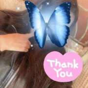 あお【SS級の反則ビジュ】 🦋ご自宅のお兄様 STELLA TOKYO－ステラトウキョウ－