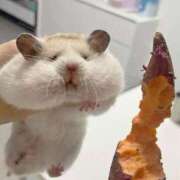 ヒメ日記 2026/01/09 13:12 投稿 あお【SS級の反則ビジュ】 STELLA TOKYO－ステラトウキョウ－