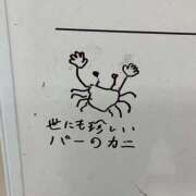 ヒメ日記 2026/02/09 20:48 投稿 あお【SS級の反則ビジュ】 STELLA TOKYO－ステラトウキョウ－