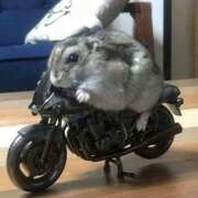 ヒメ日記 2026/02/23 18:44 投稿 あお【SS級の反則ビジュ】 STELLA TOKYO－ステラトウキョウ－