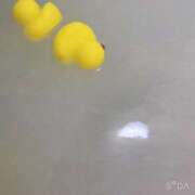 あお【SS級の反則ビジュ】 🦋いつもありがとう😢 STELLA TOKYO－ステラトウキョウ－