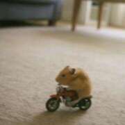 あお【SS級の反則ビジュ】 🦋あおを知りたい人は絶対に見て STELLA TOKYO－ステラトウキョウ－