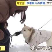 ヒメ日記 2026/03/14 22:46 投稿 あお【SS級の反則ビジュ】 STELLA TOKYO－ステラトウキョウ－